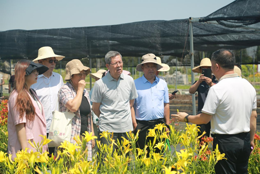 实地参观考察虹之彩产业园萱草种质资源圃