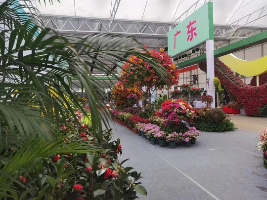 第三届广西花卉苗木交易会室内展区|陕西省花协