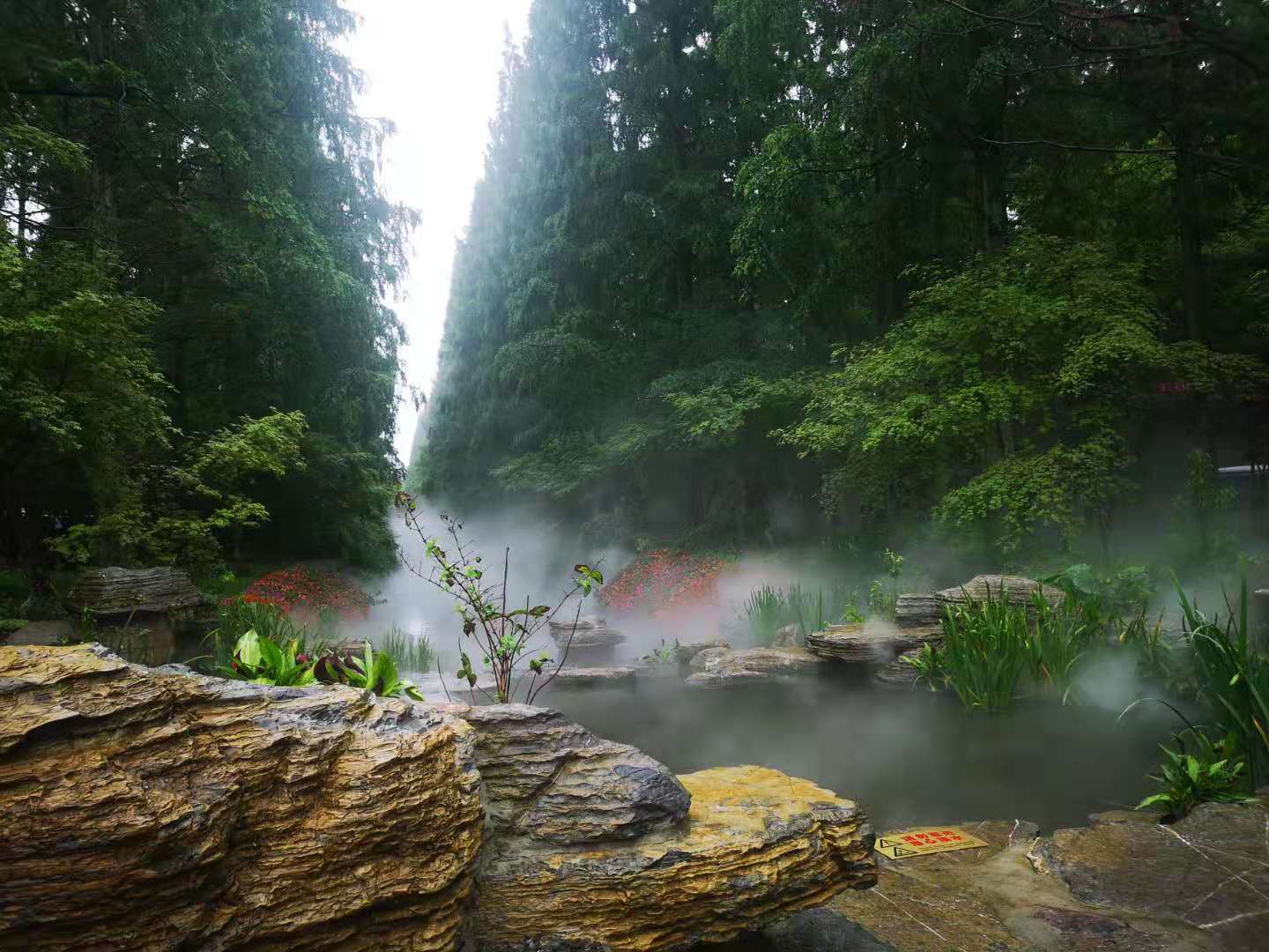 驻华使节探访花博会