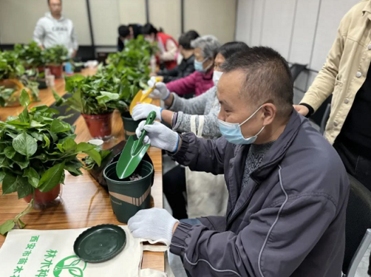 学习花卉种植|陕西省花协