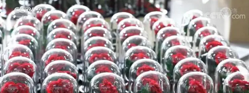 永生花产品|陕西省花卉协会