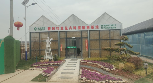 西安市高新区花卉市场