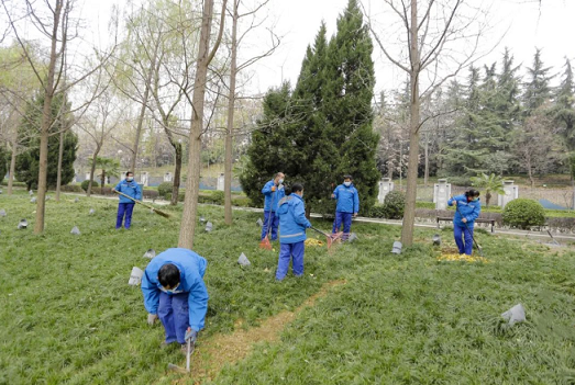 西安高新区工作人员正在清扫落叶,养护树木