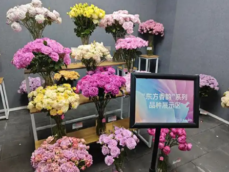 5·20央视新闻聚焦云南月季变了1000多种“新花样”