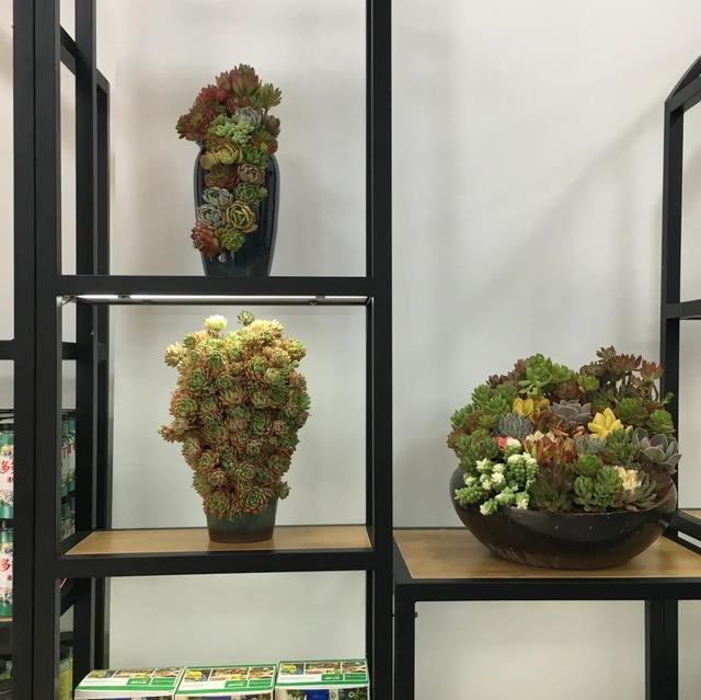 花卉市场——陕西省花协