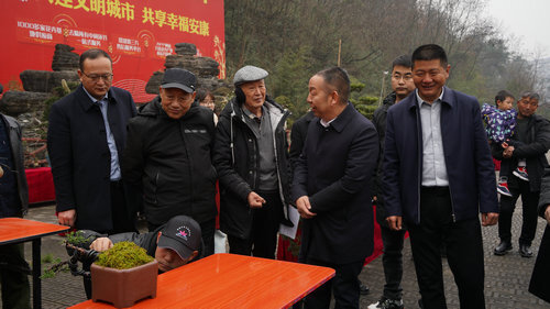 陕西安康第六届精品盆景展