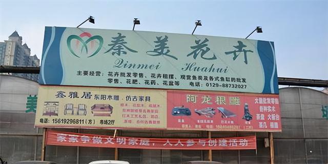西安秦美花卉市场|陕西省花协