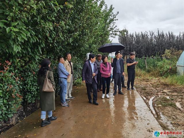 陕西花卉产业专家组|省花协
